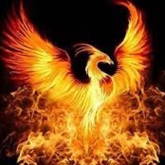 The Pheonix