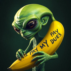 SCHWAKO - Well I pay my dues (Drum and Bass)