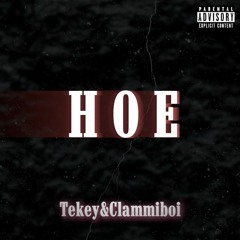 TeKey - Du Bist Eine Hoe ft.Clammiboi