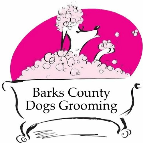 Stream Barks County Dog Grooming Zoning Appeal Approved! by Mack's