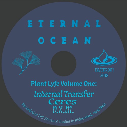 PREMIERE: Internal Transfer - Embodiment Exercise