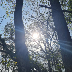 Inna Di Soundsystem Session - Earthical Mind Dub