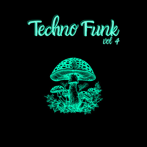 TECHNO FUNK VOL 4