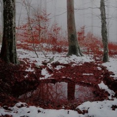 Blood Molly Rmx