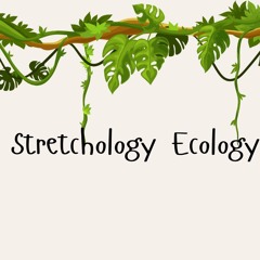 Guided Shoulder Stretch Using the 7 Phases of Stretchology Ecology