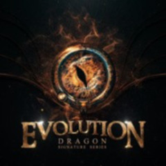 Dragon Evo PADS