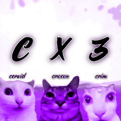 CX3 Anthem (Prod. Bloom7k)