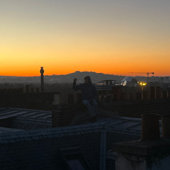 L'aquarium des poissons gazés