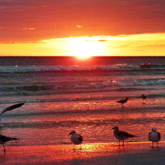 A Flock Of Seagulls - Wishing Remix