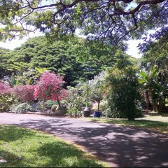 lately (yungsouljah x tkoshyne)