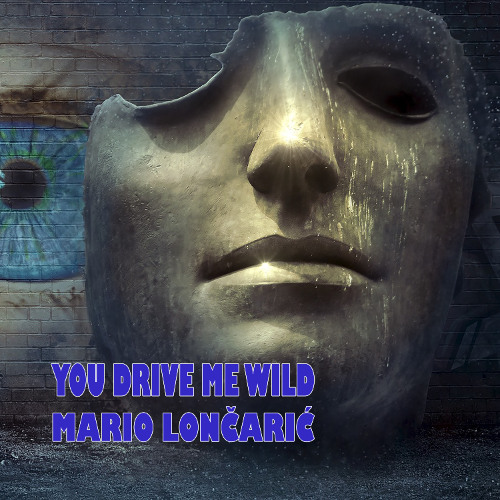 YOU DRIVE ME WILD