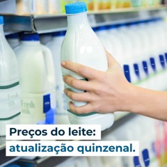 Preços do leite na 2ª atualização quinzenal de Janeiro 24