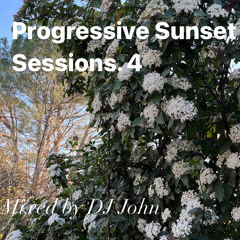 Progressive Sunset Sessions 4