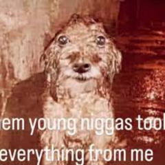 Audio terrorist (Ft Cjbb)