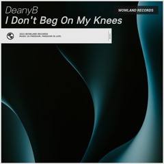 I Don't Beg On My Knees (feat. Lokka)