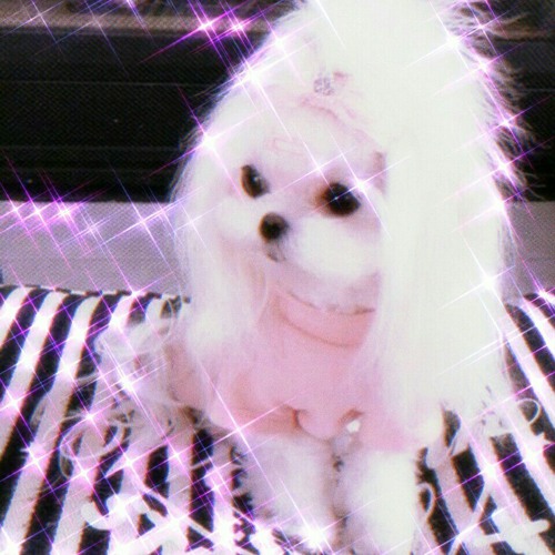 .*:+ mam yorka (not a remix) +:*.