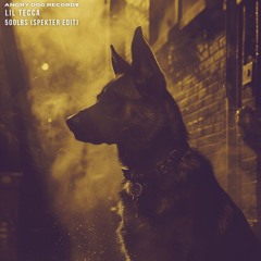 Lil Tecca - 500lbs (SPEKTER Edit) Free Download