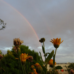 2024-09-03_18h06m15