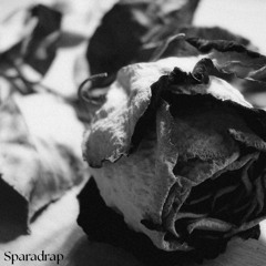 Baby Hayabusa - Sparadrap (remix)