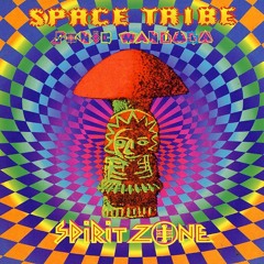 Space Tribe & Simon Posford-In The Hands Of The Shaman (1996) Remastered with ❤️by DrGoa