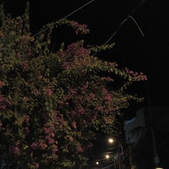 Anh Chẳng Thể - Lofi