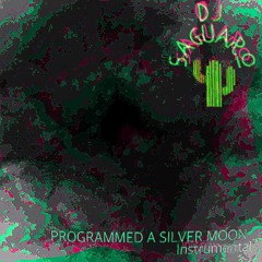 Programmed A Silver Moon (Instrumental)