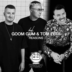 PREMIERE: Goom Gum & Tom Zeta - Reasons (Original Mix) [Eklektisch]