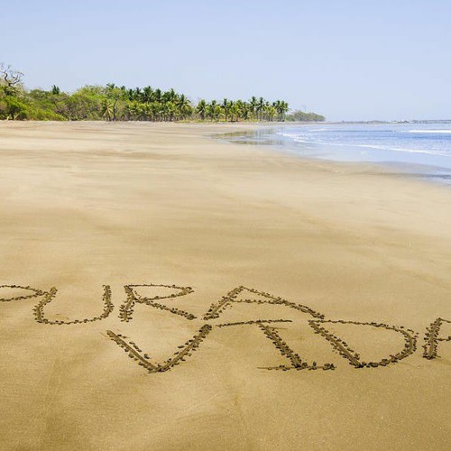 La Pura Vida Straight Ahead