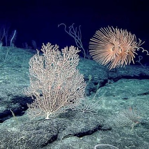 HK_Deep_Sets/Mixes/Live_06