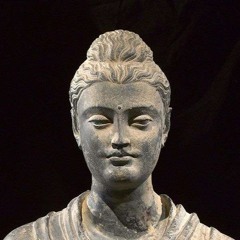 Skupienie i wgląd - Thanissaro Bhikkhu [LEKTOR PL]