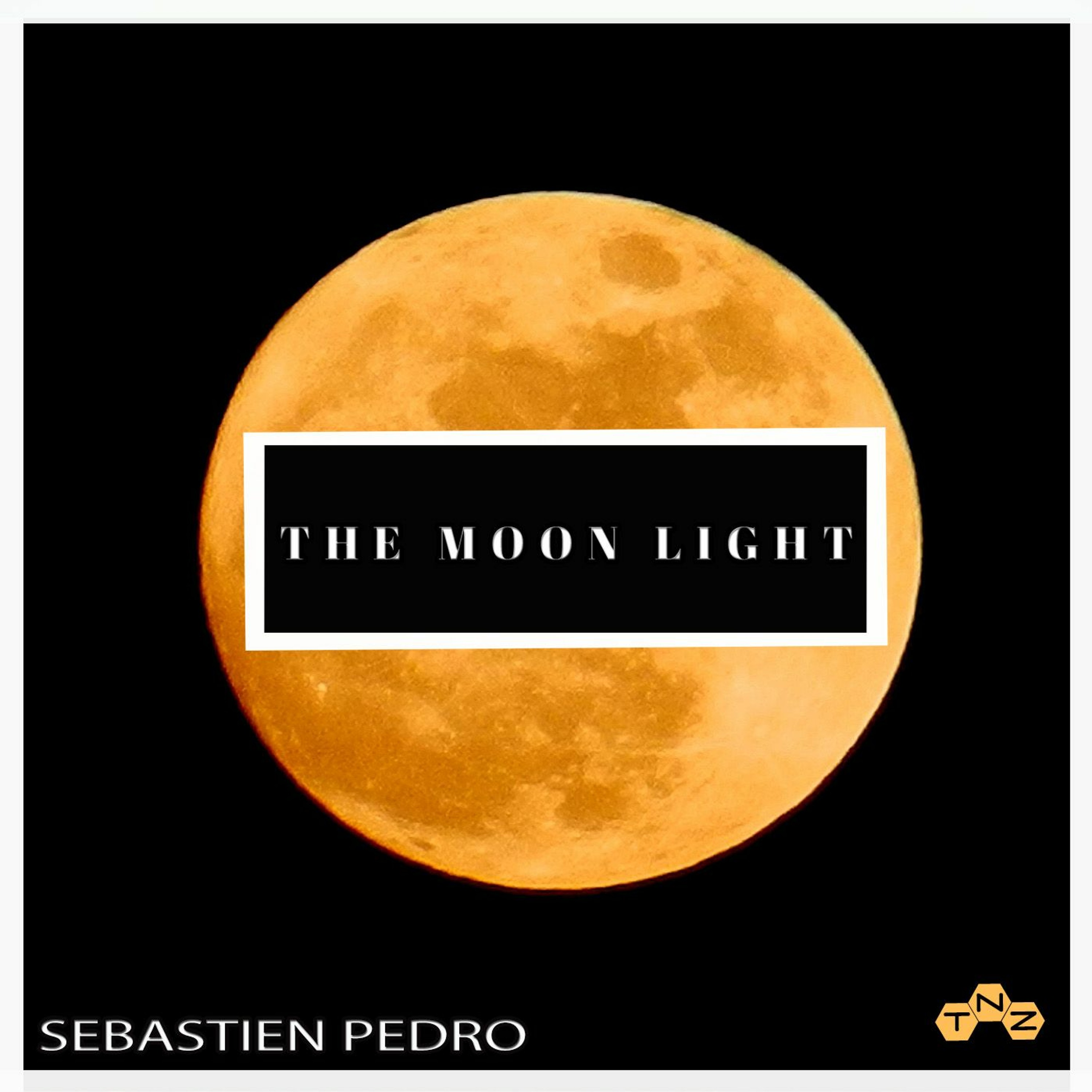 The Moon Light (Original Mix) Sebastien Pedro episode artwork