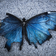 🦋Ulysses - AFTER 7, Afterlife Inspired Mix (11 - 2020)