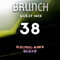 Electric Hawk Radio | Episode 38 | Brunchbeatz Guest Mix