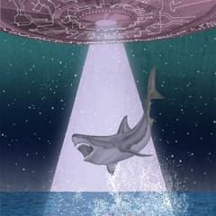 MELODIC OF SHARK 9