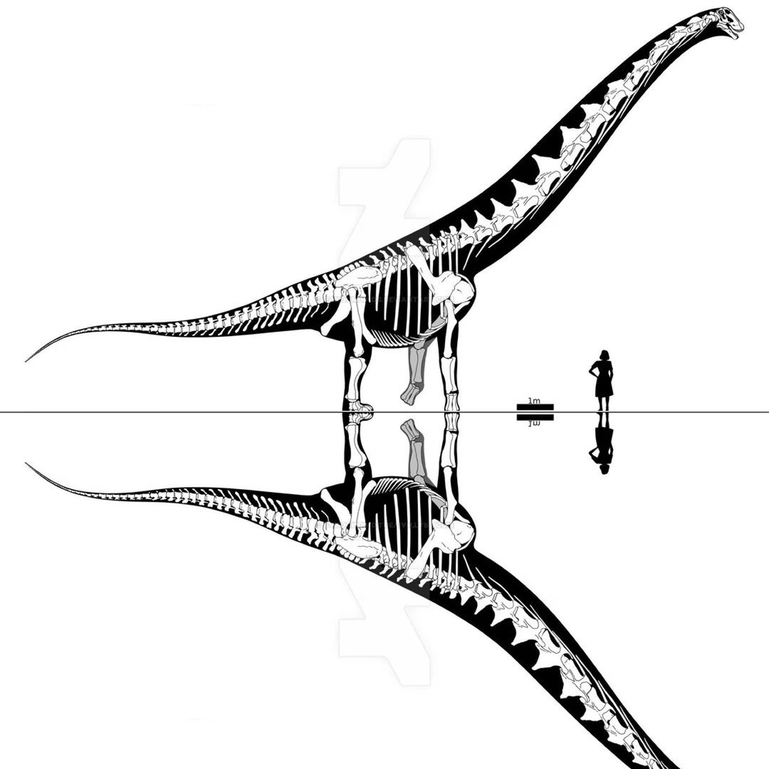 Keja - Dreadnoughtus (reserved) episode artwork