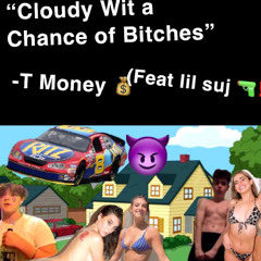 Cloudy Wit a Chance of Bitches - T Money (Feat. Lil suj)(its a joke)
