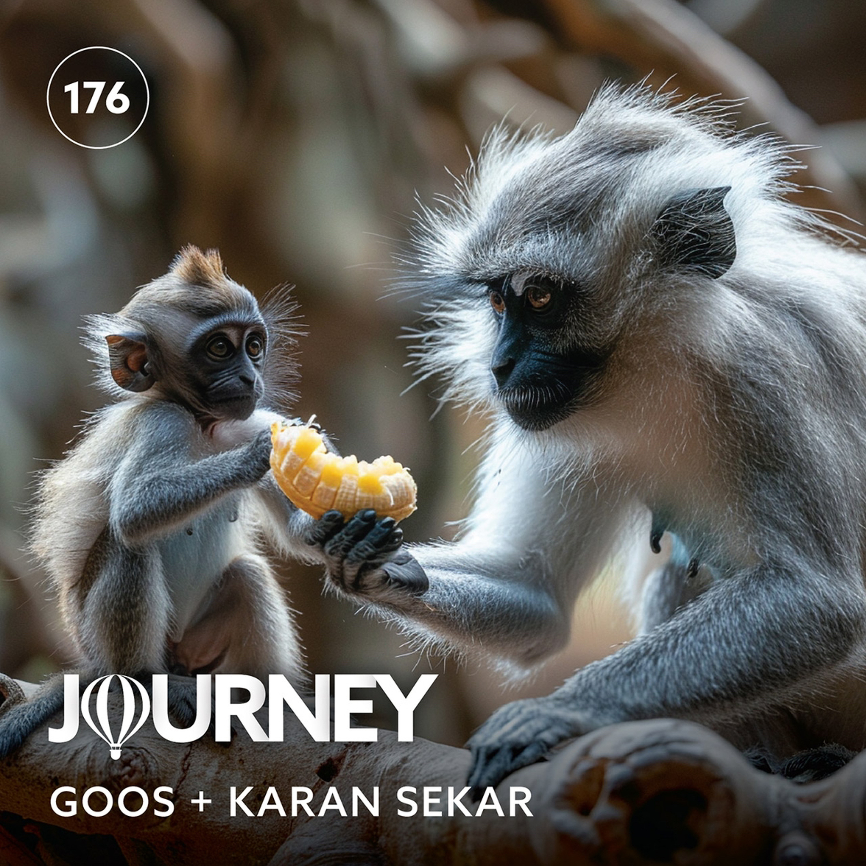 Journey - Episode 176 - Goos + Karan Sekar thumbnail