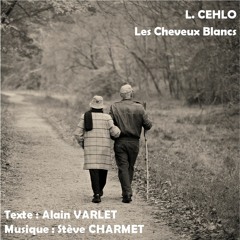 LES CHEVEUX BLANCS
