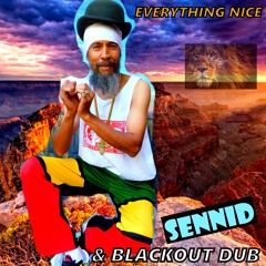 SENNID & BLACKOUT DUB - EVERYTHING NICE