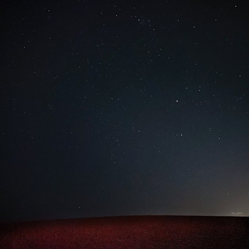 مشعان البراق - يانجم