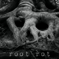 Root Rot w/ Feedalexbacon & kathleenkerry