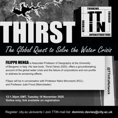 Thirst: Solving the Global Water Crisis, with Filippo Menga, Naho Mirumachi, and Julie Froud