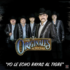 Yo Le Echo Rayas Al Tigre (Bonus Track) (Version Banda)