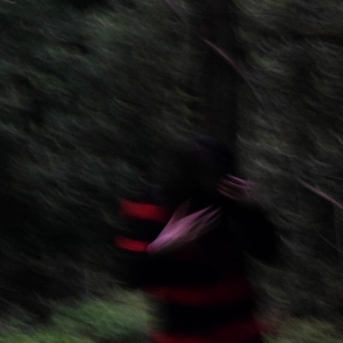 BackToTheRoots feat. phantom roses (prod. Trapsyde)