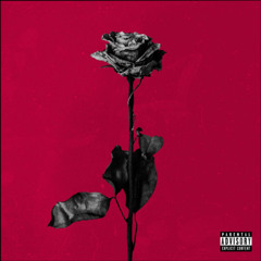 dead roses