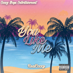 You Like Me