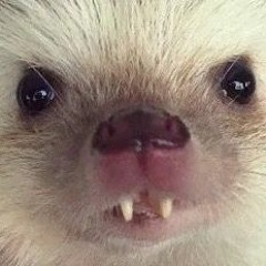 славянский бульвар - молодой пип