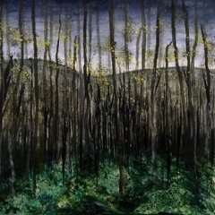 Sad Still (picture by Mhari Brown)