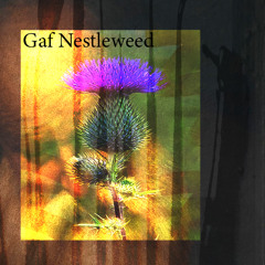 Gaf Nestleweed