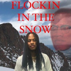 Flockin In The Snow: Flocka x M&T x RTJ ft. Malcom X